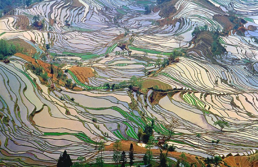 Terrace-rice-fields-in-Yunnan-Province-China-2